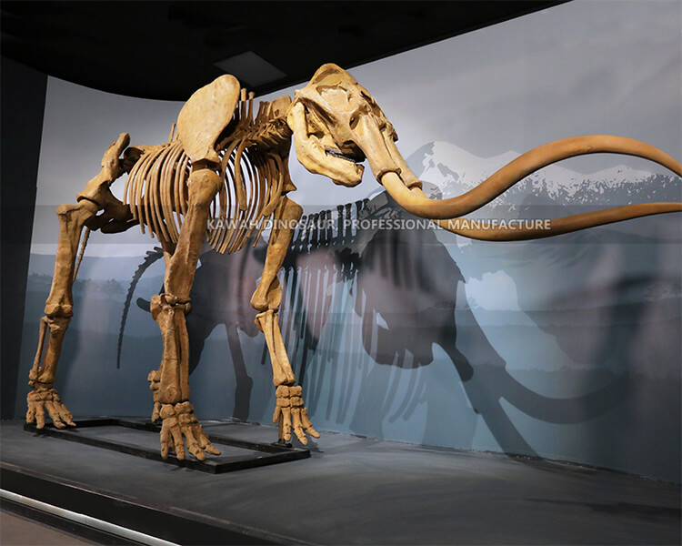 博物馆复制品动物骨架-高仿真猛犸象骨架